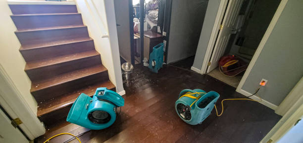 Best Water damage restoration near me  in Carter Lake, IA