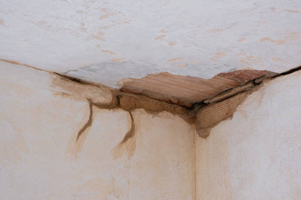 Best Water damage restoration near me  in Carter Lake, IA