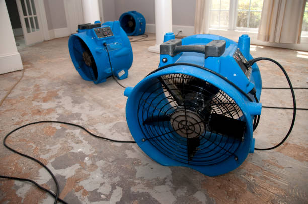 Best Emergency water damage restoration  in Carter Lake, IA