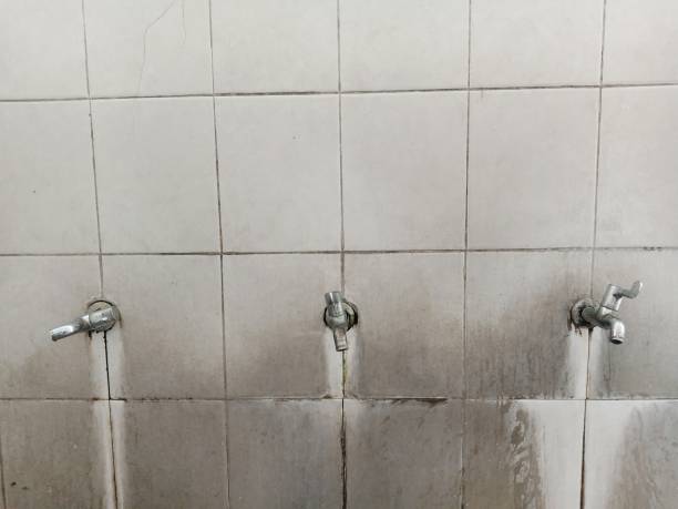 Best Ceiling water damage repair  in Carter Lake, IA