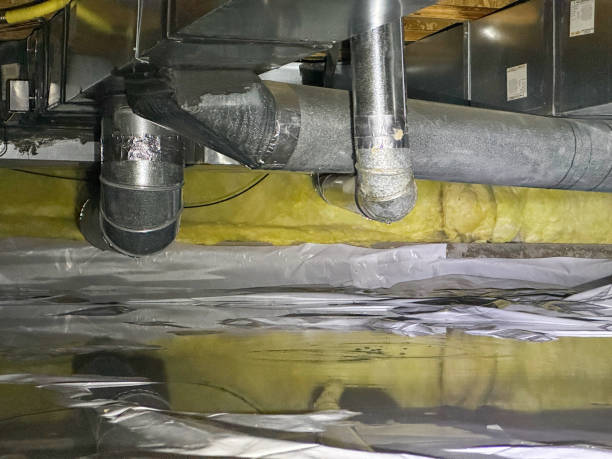 Best Flood damage cleanup  in Carter Lake, IA