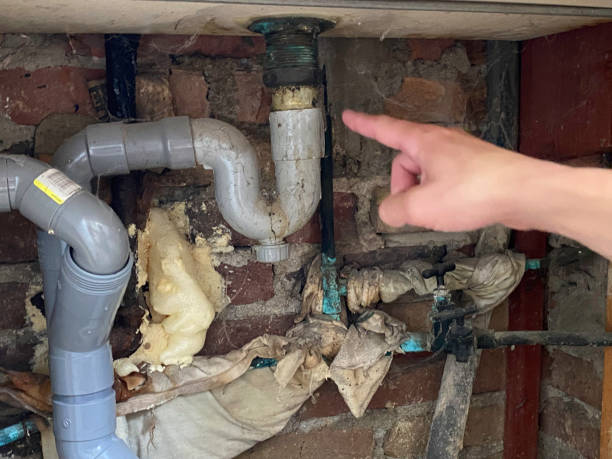 Trusted Carter Lake, IA Water damage restoration Experts